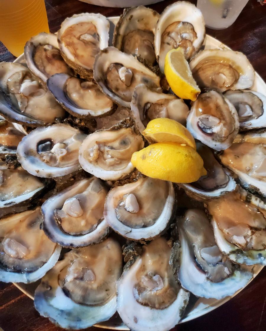 Dozens of oysters on the half shell with lemon wedges