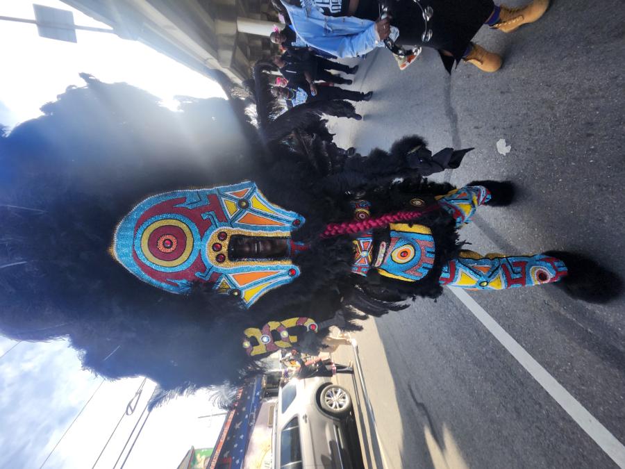 Mardi Gras Indian in New Orleans, LA