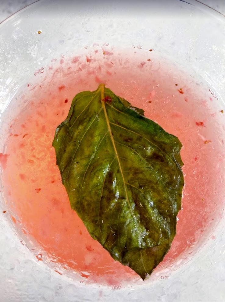 Mint leaf floating in pink colored cocktail